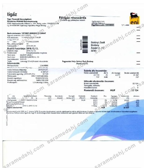 HUNGARY TIGAZ utility bill Word and PDF template